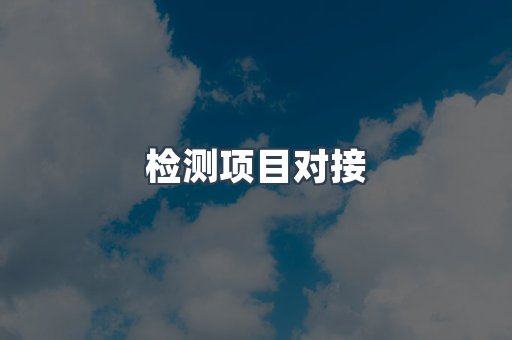 检测项目对接